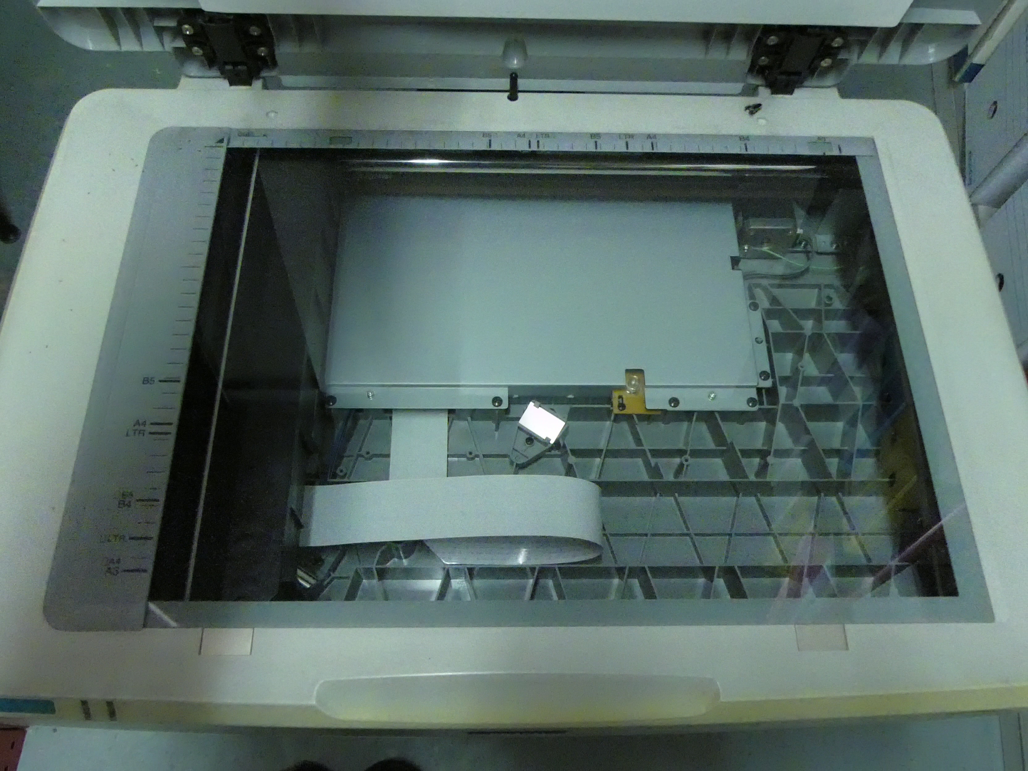 Photo détaillant le don 