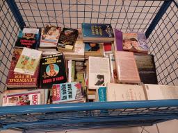 Photo détaillant le don Lot de divers livres (romans, essais, etc.)